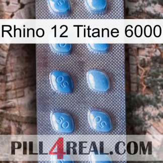 Rhino 12 Titanium 6000 viagra3